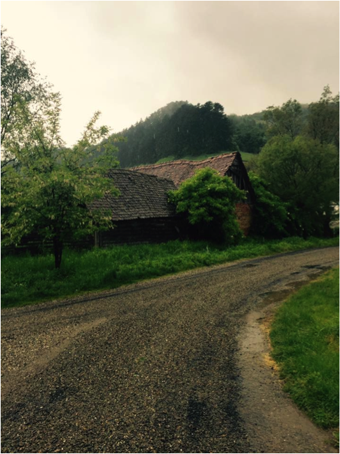 Road in Transylvania, Source: BD