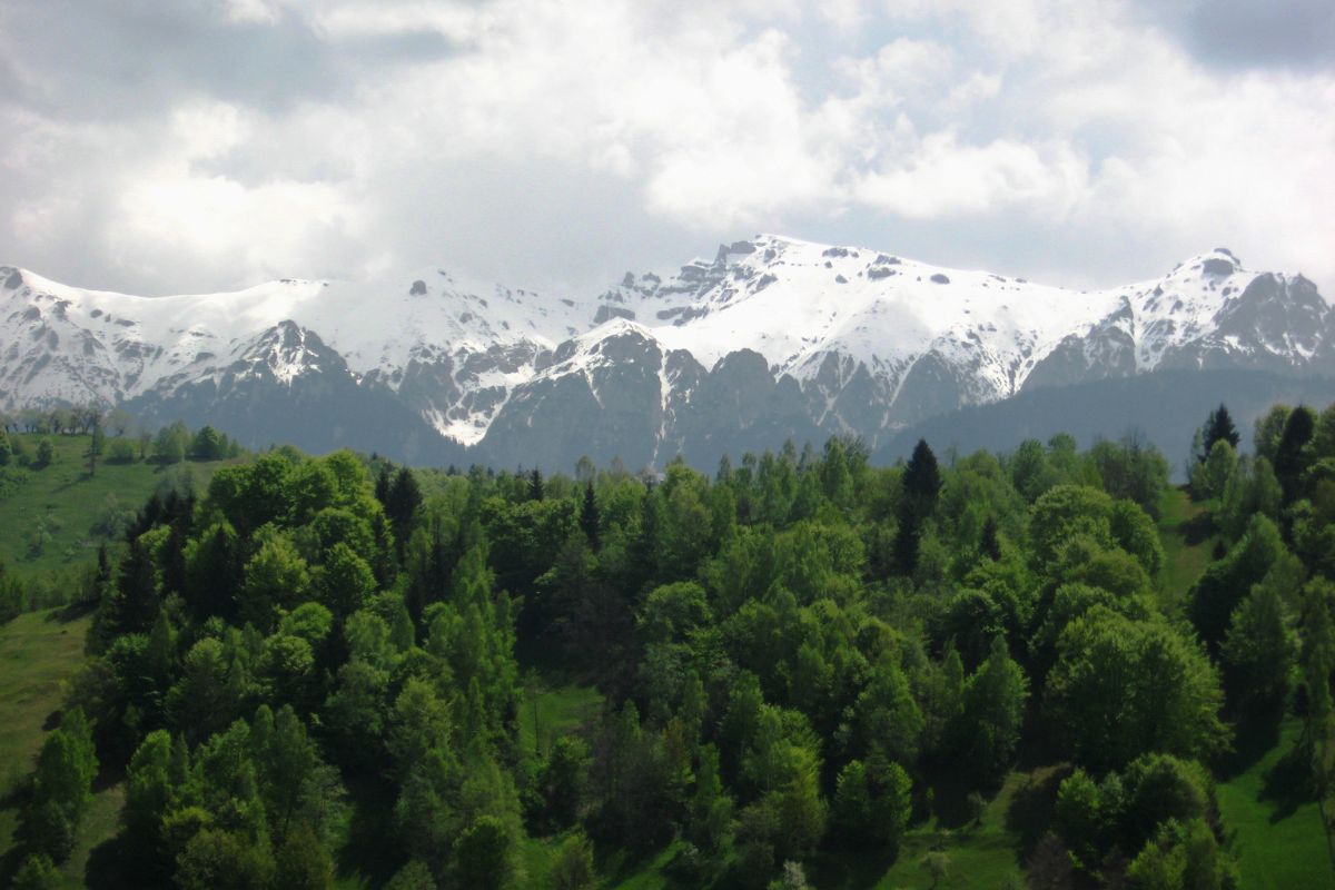 Fagaras