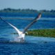 Dobrogea and Danube Delta