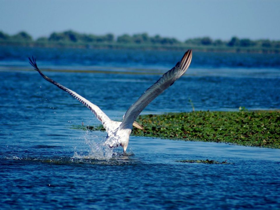 Dobrogea and Danube Delta