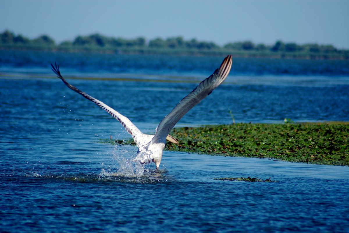 Dobrogea and Danube Delta