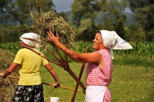 Experience Romania like a local
