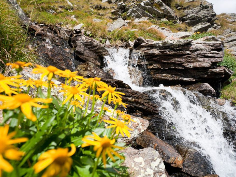 Romania Spring