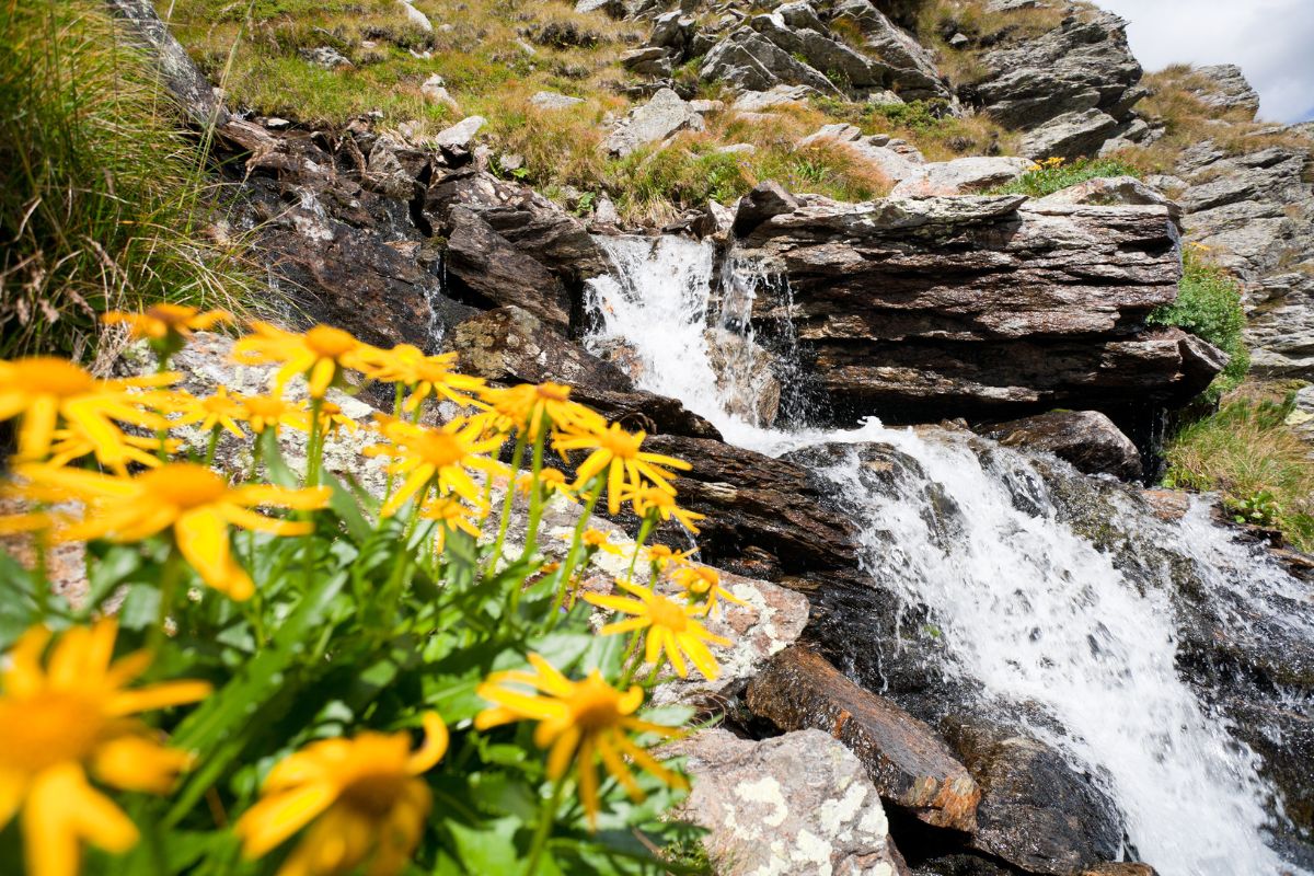 Romania Spring