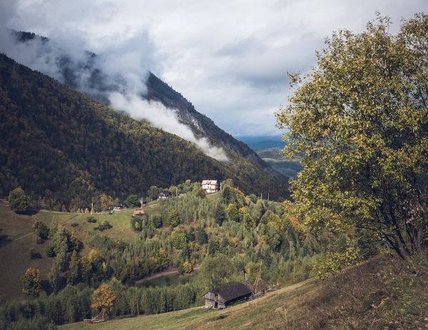 Foraging in the Carpathians