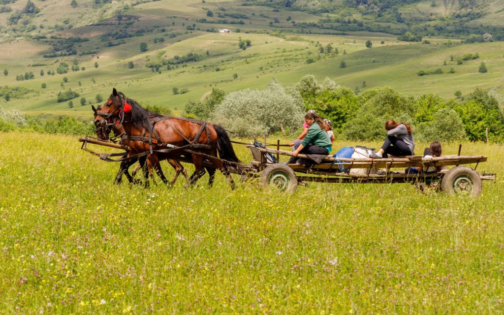 Horse-drawn cart rides for kids. 1 week itinerary in Romania