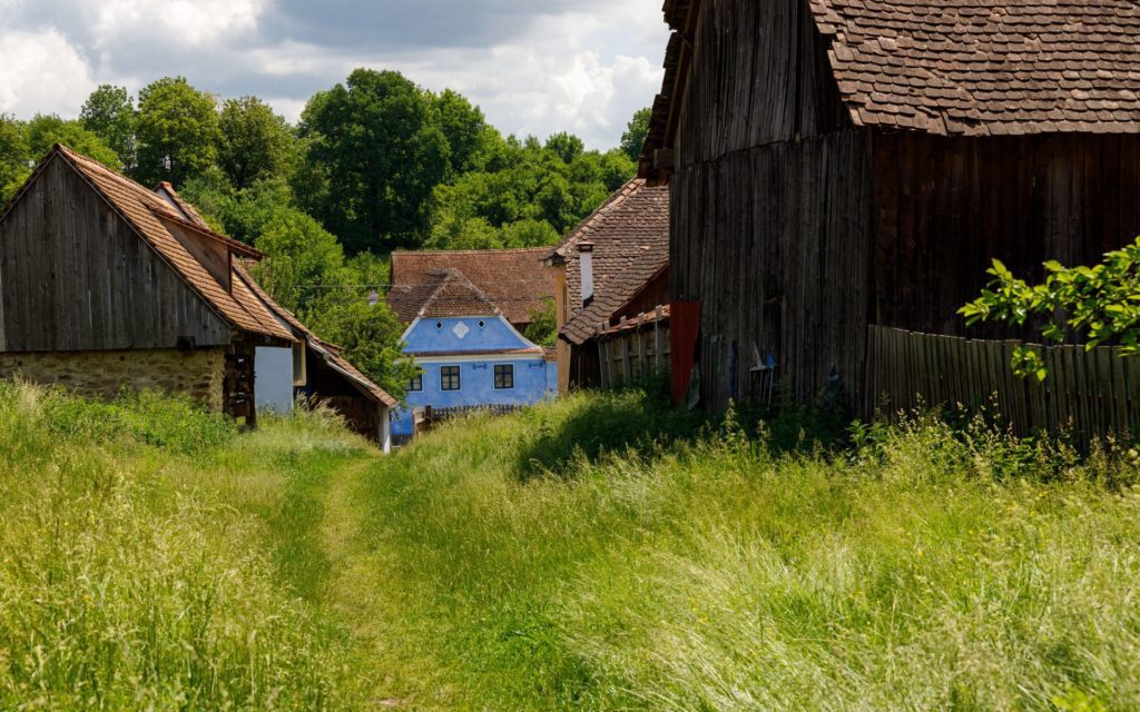 Viscri village with traditional blue houses in the background