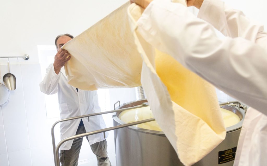 Learn everything about how local cheese is made straight from the source in Viscri
