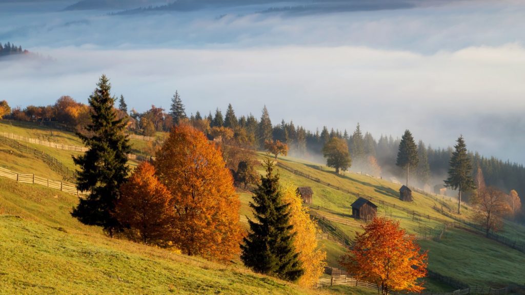 fall foliage in Romania 