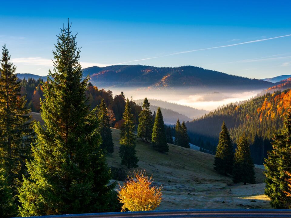 Places to visit in the Apuseni Mountains