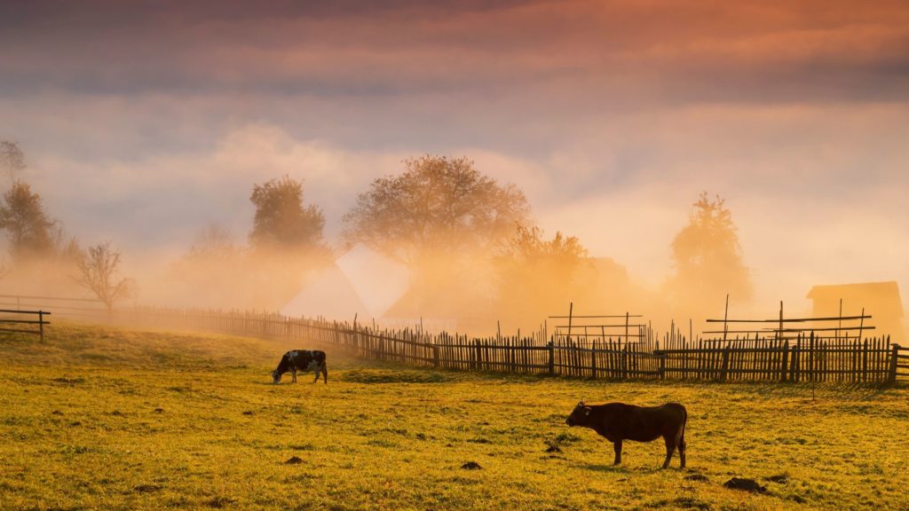 Reasons to visit Romania during fall