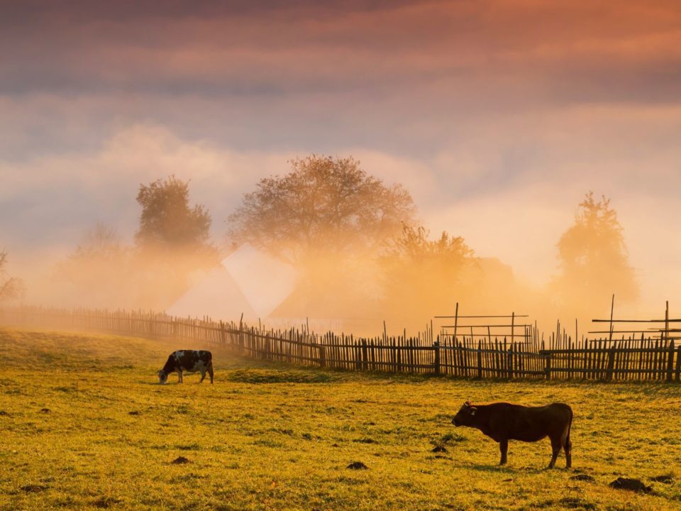 Reasons to visit Romania during fall