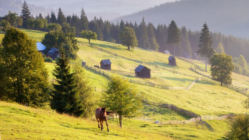 The weather in October is a great reason to visit Romania during fall