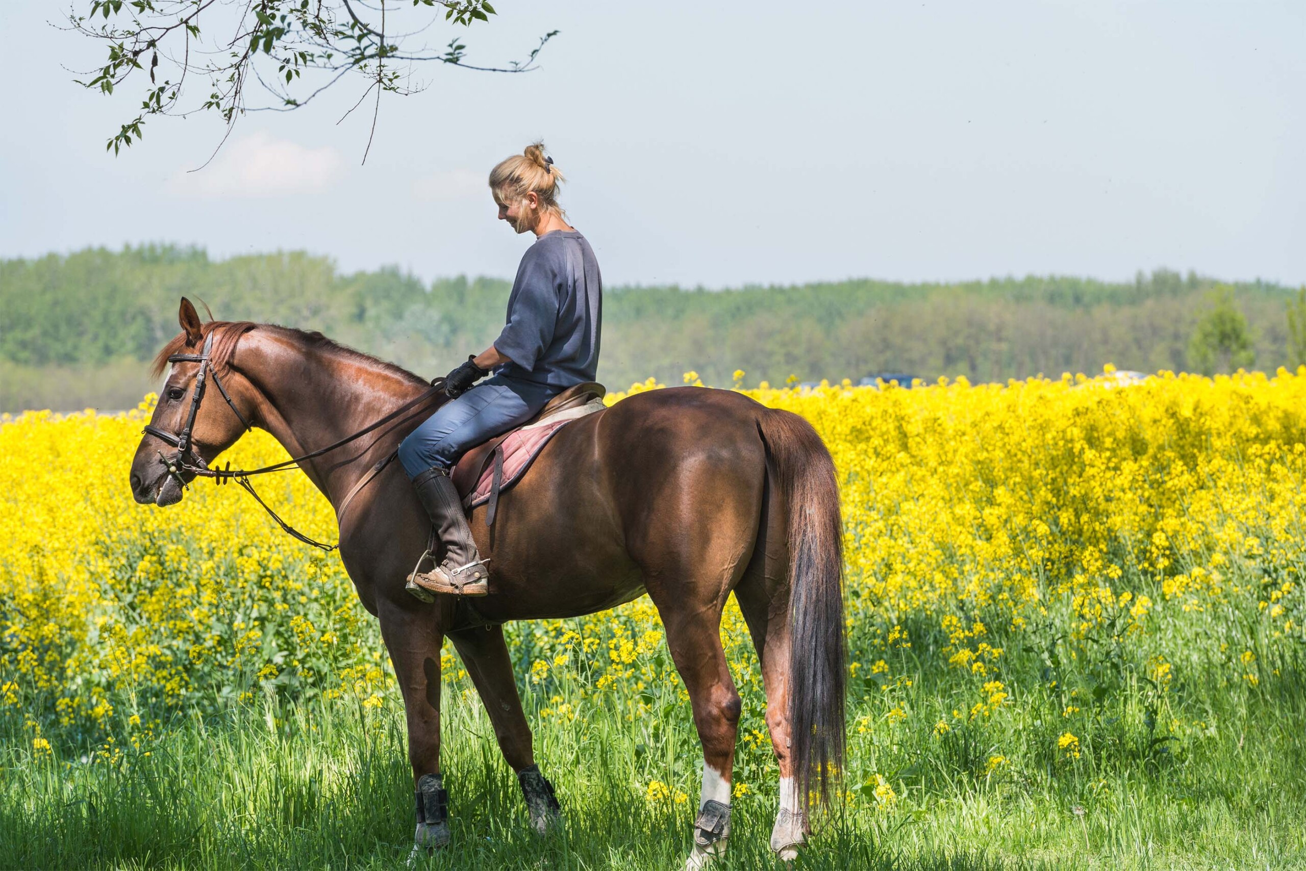 horse riding in transylvania beyond dracula